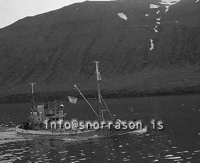ss02691-01