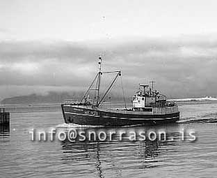 ss02700-01.jpg Leifur Eríksson RE 333