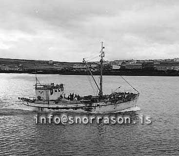 ss02842-01