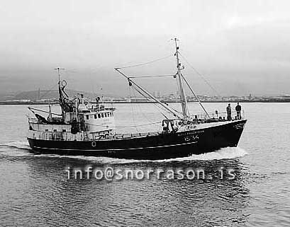 ss02900-01