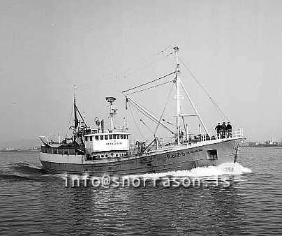 ss02906-01