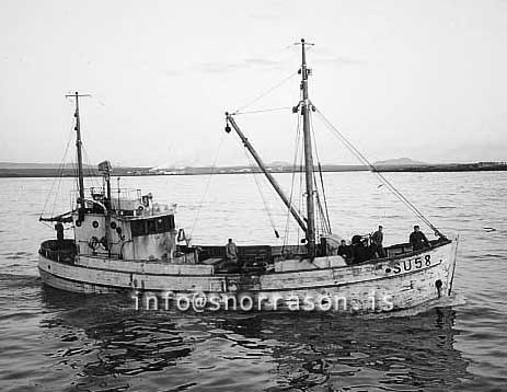 ss02919-01