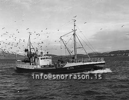 ss02956-01