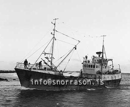 ss02975-01