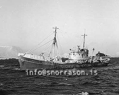 ss03004-01
