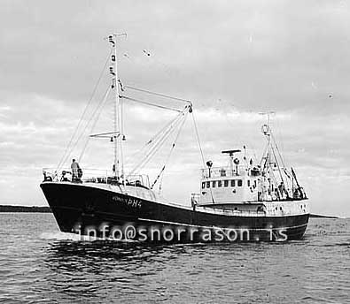 ss03039-01