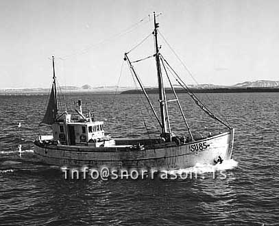 ss03050-01