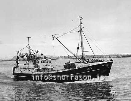 ss03056-01
