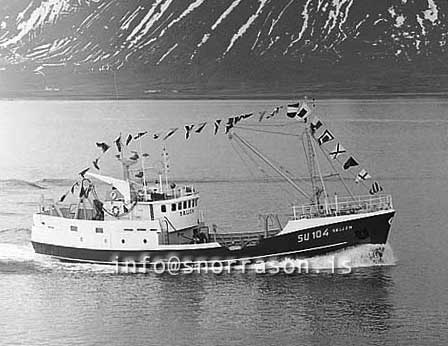 ss03061-01
