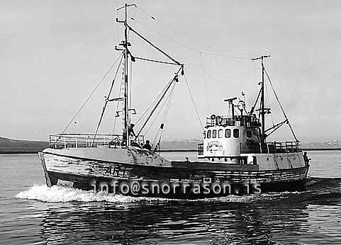 ss03078-01