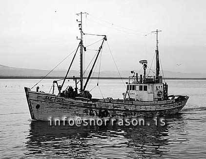 ss03093-01