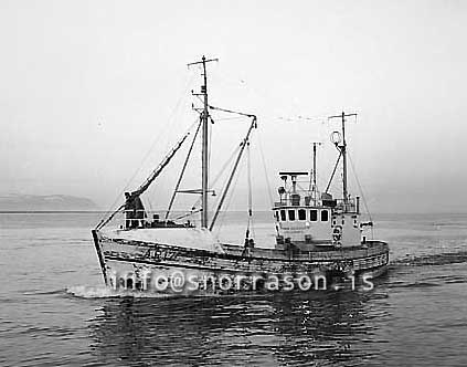 ss03099-01