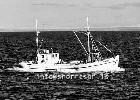 ss03100-01