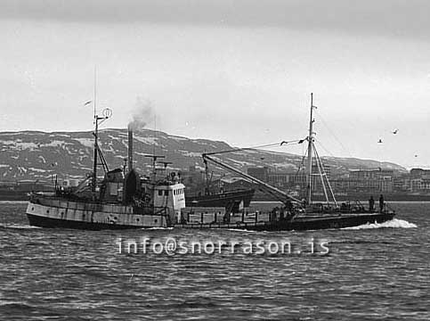 ss03103-01