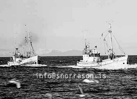 ss03114-01