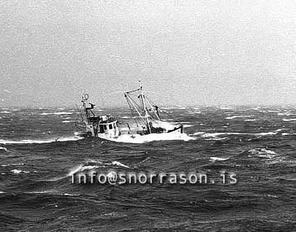 ss03125-01