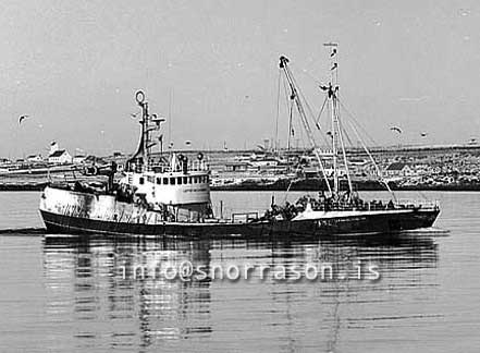 ss03137-01