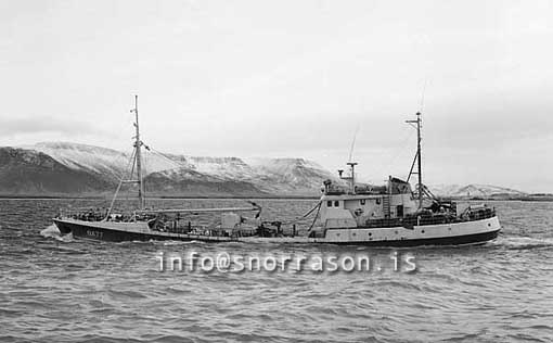 ss03165-01