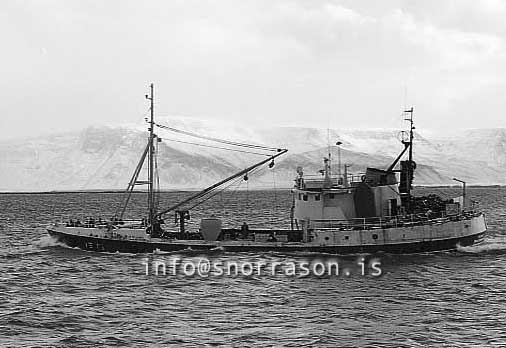 ss03167-01