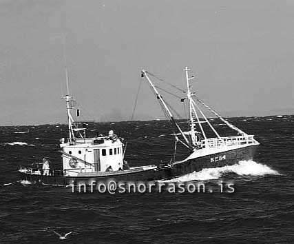 ss03170-01
