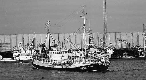 ss03171-01