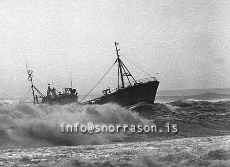 Filma: SS03189-01