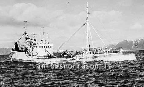 ss03194-01