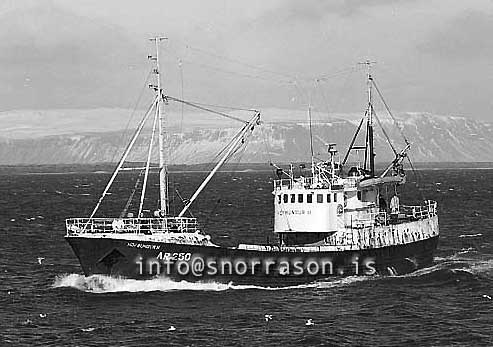 ss03206-01
