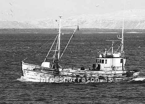 ss03216-01
