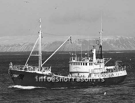 ss03224-01