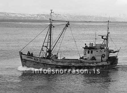 ss03229-01