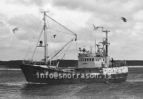 ss03234-01