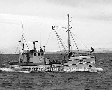 ss03261-01