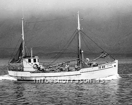 ss03266-01