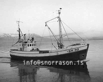 ss03299-01
