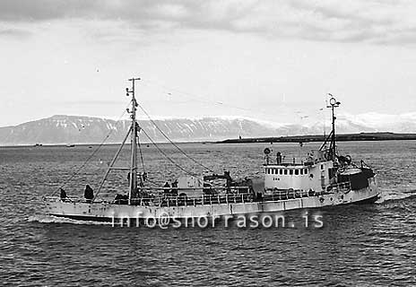 ss03308-01