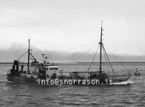 ss03315-01