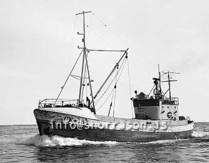 ss03336-01