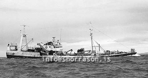 ss03359-01jpg