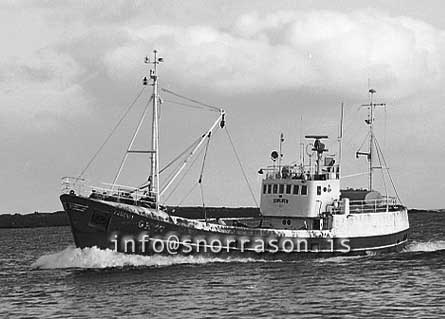 ss03376-01