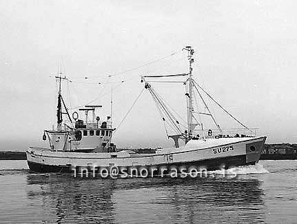 ss03385-01.jpg´