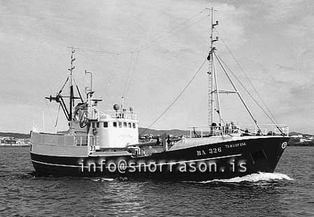 ss03389-01