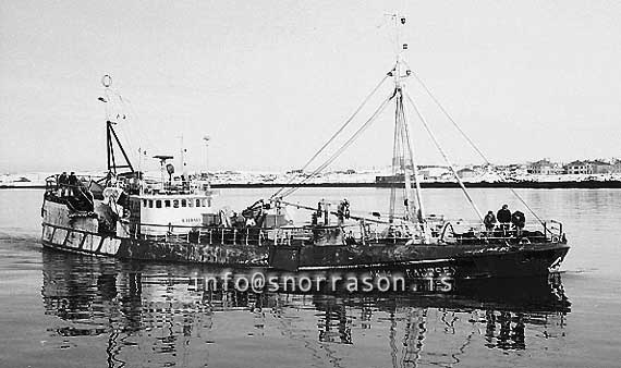 ss03390-01