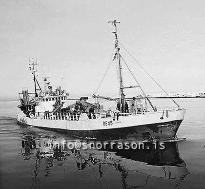 ss03392-01