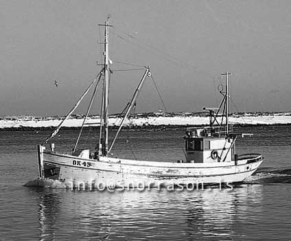 ss03396-01
