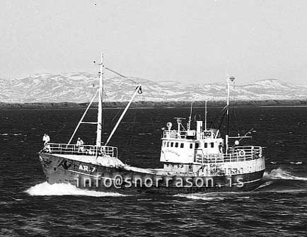 ss03397-01