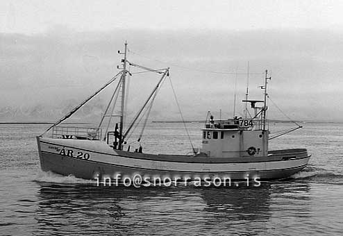ss03446-01