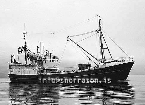 ss03464-01