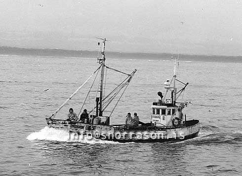 ss03479-01