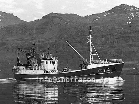 ss03500-01